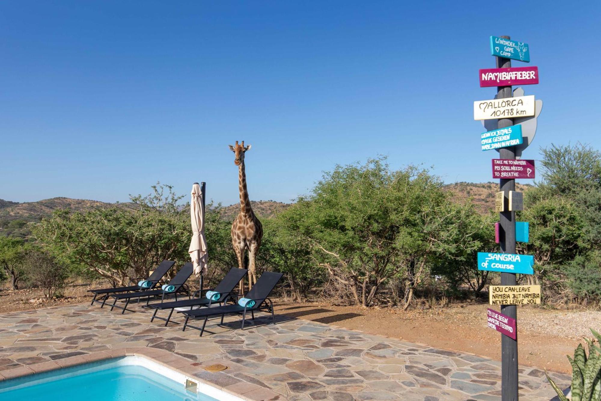 Windhoek Game Camp Lafrenz Township ภายนอก รูปภาพ
