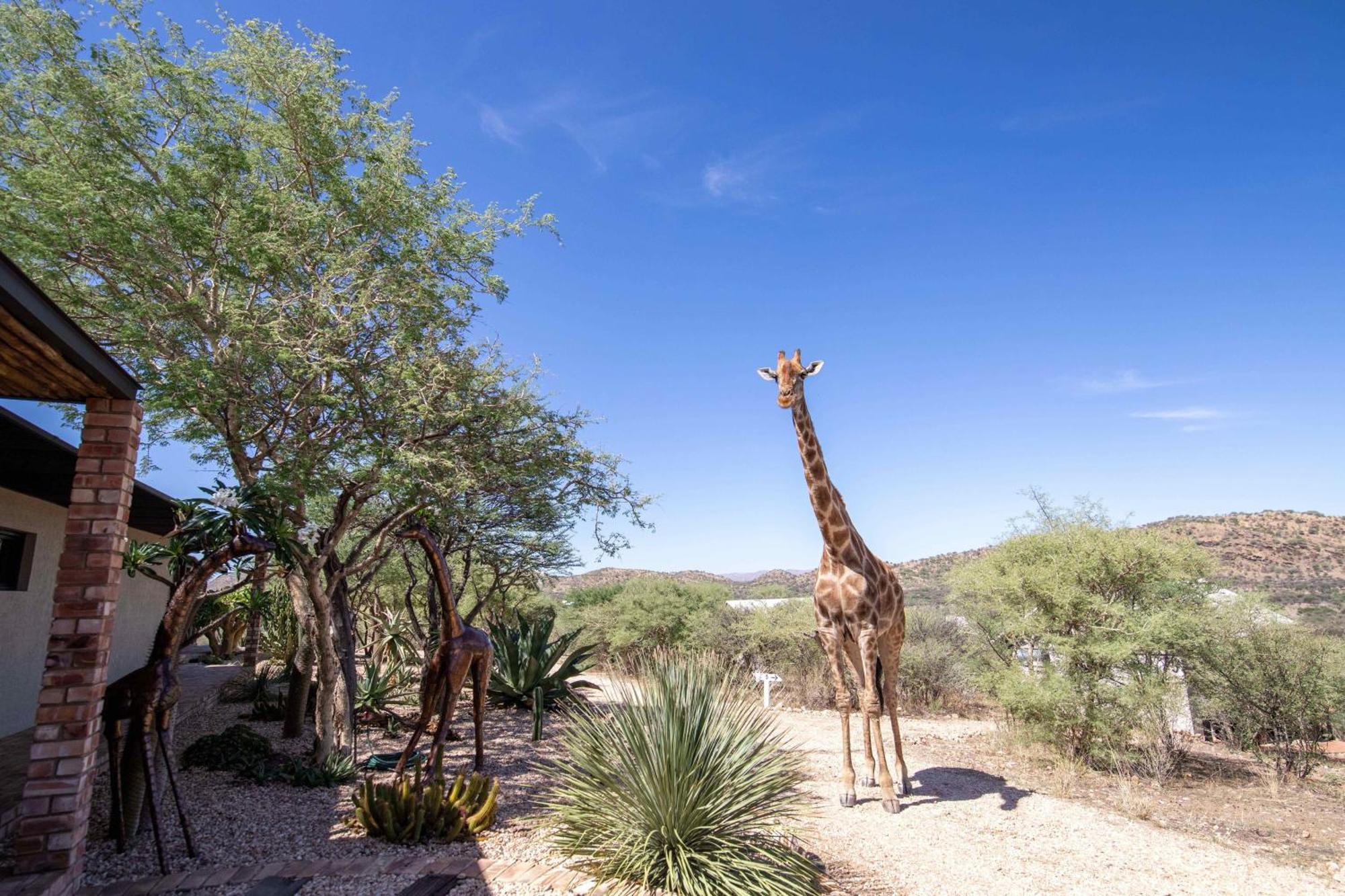 Windhoek Game Camp Lafrenz Township ภายนอก รูปภาพ