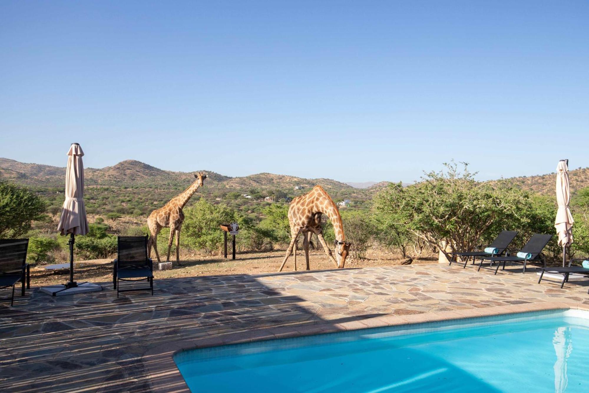 Windhoek Game Camp Lafrenz Township ภายนอก รูปภาพ