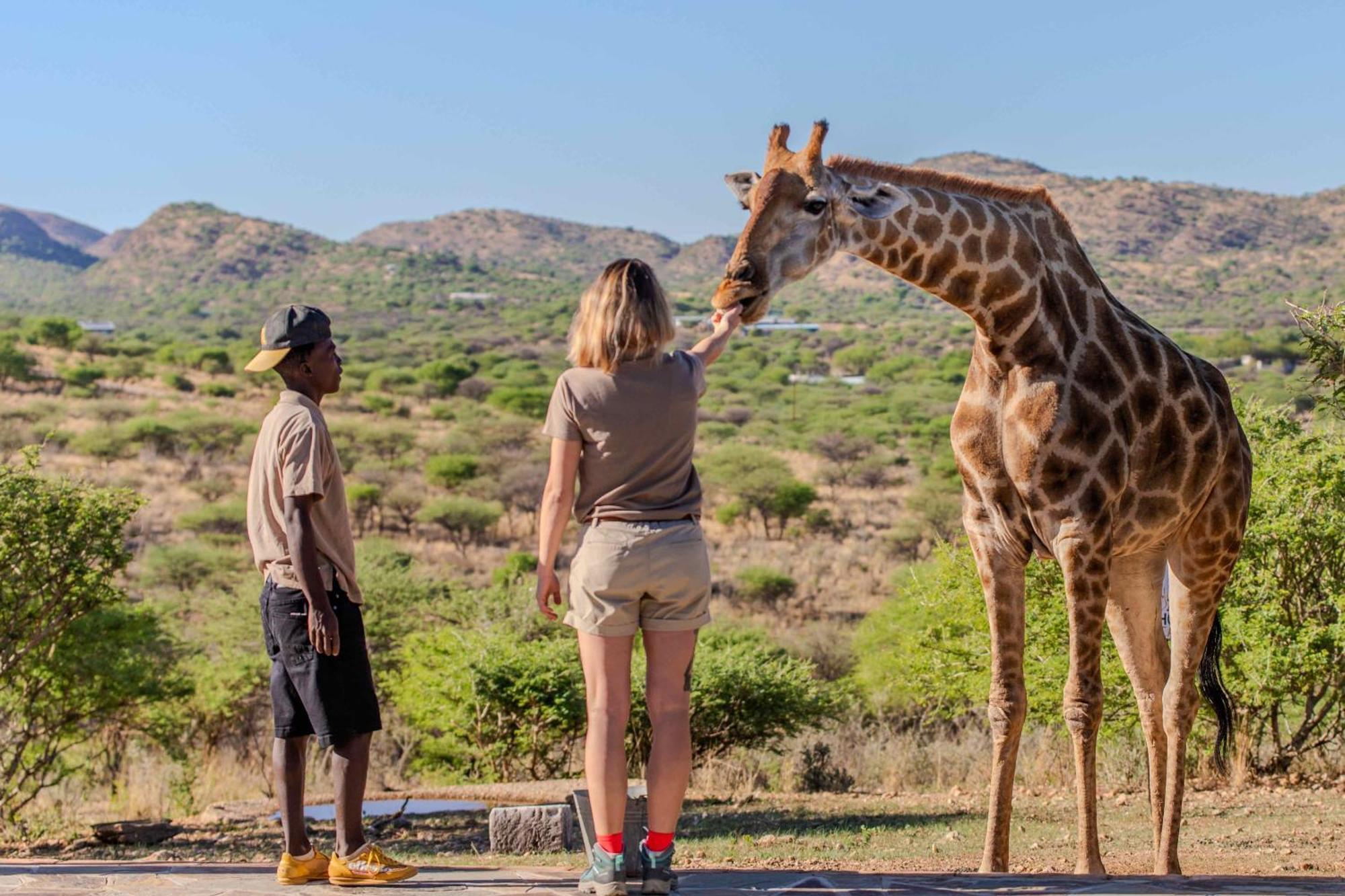 Windhoek Game Camp Lafrenz Township ภายนอก รูปภาพ