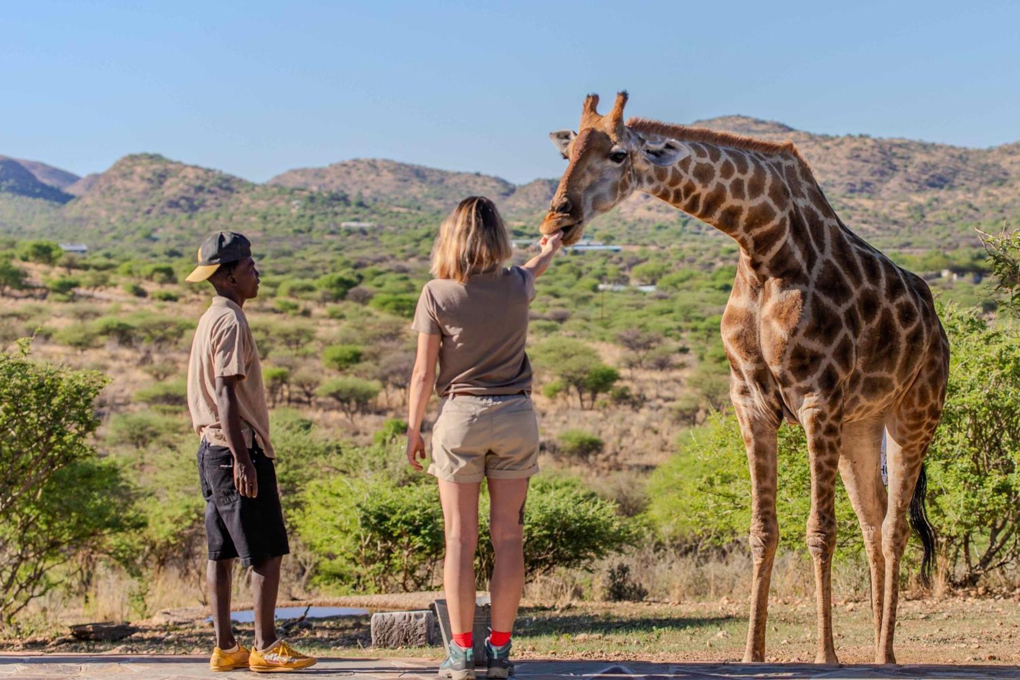 Windhoek Game Camp Villa Lafrenz Township ภายนอก รูปภาพ