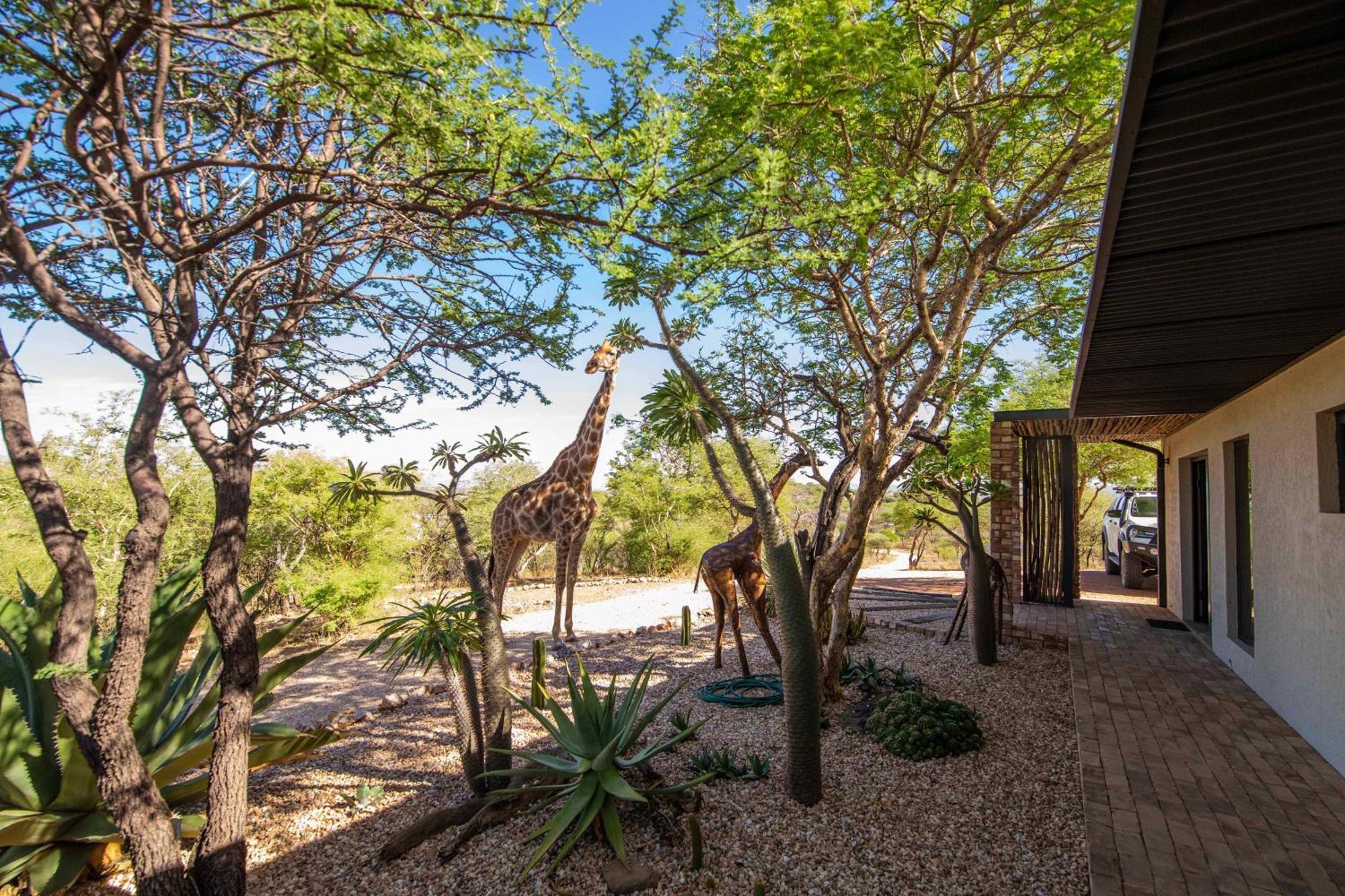 Windhoek Game Camp Lafrenz Township ภายนอก รูปภาพ