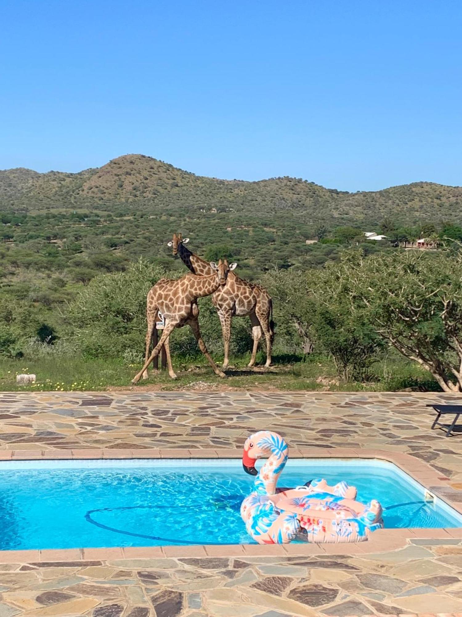 Windhoek Game Camp Lafrenz Township ภายนอก รูปภาพ