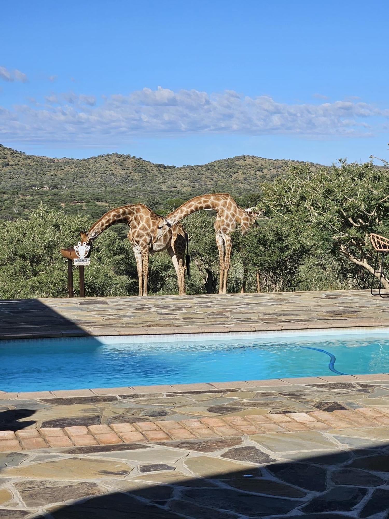 Windhoek Game Camp Lafrenz Township ภายนอก รูปภาพ