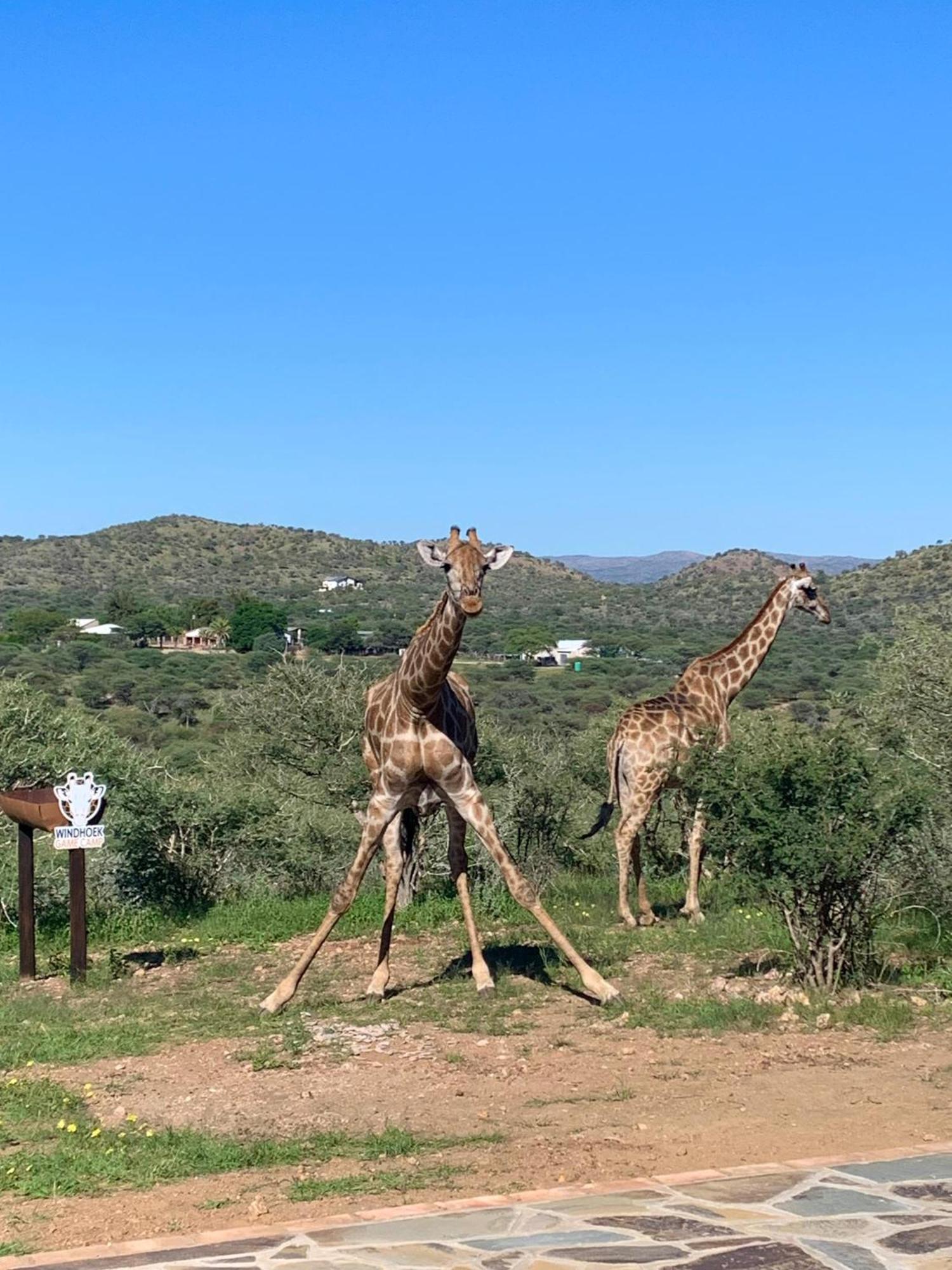 Windhoek Game Camp Lafrenz Township ภายนอก รูปภาพ