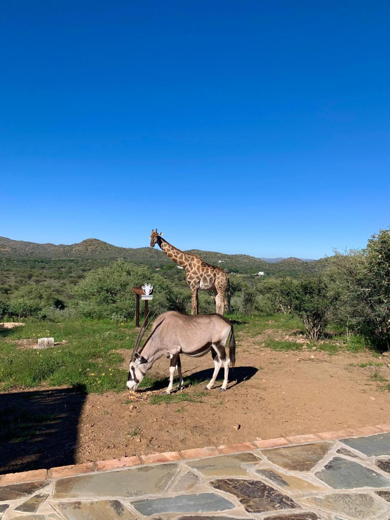 Windhoek Game Camp Lafrenz Township ภายนอก รูปภาพ