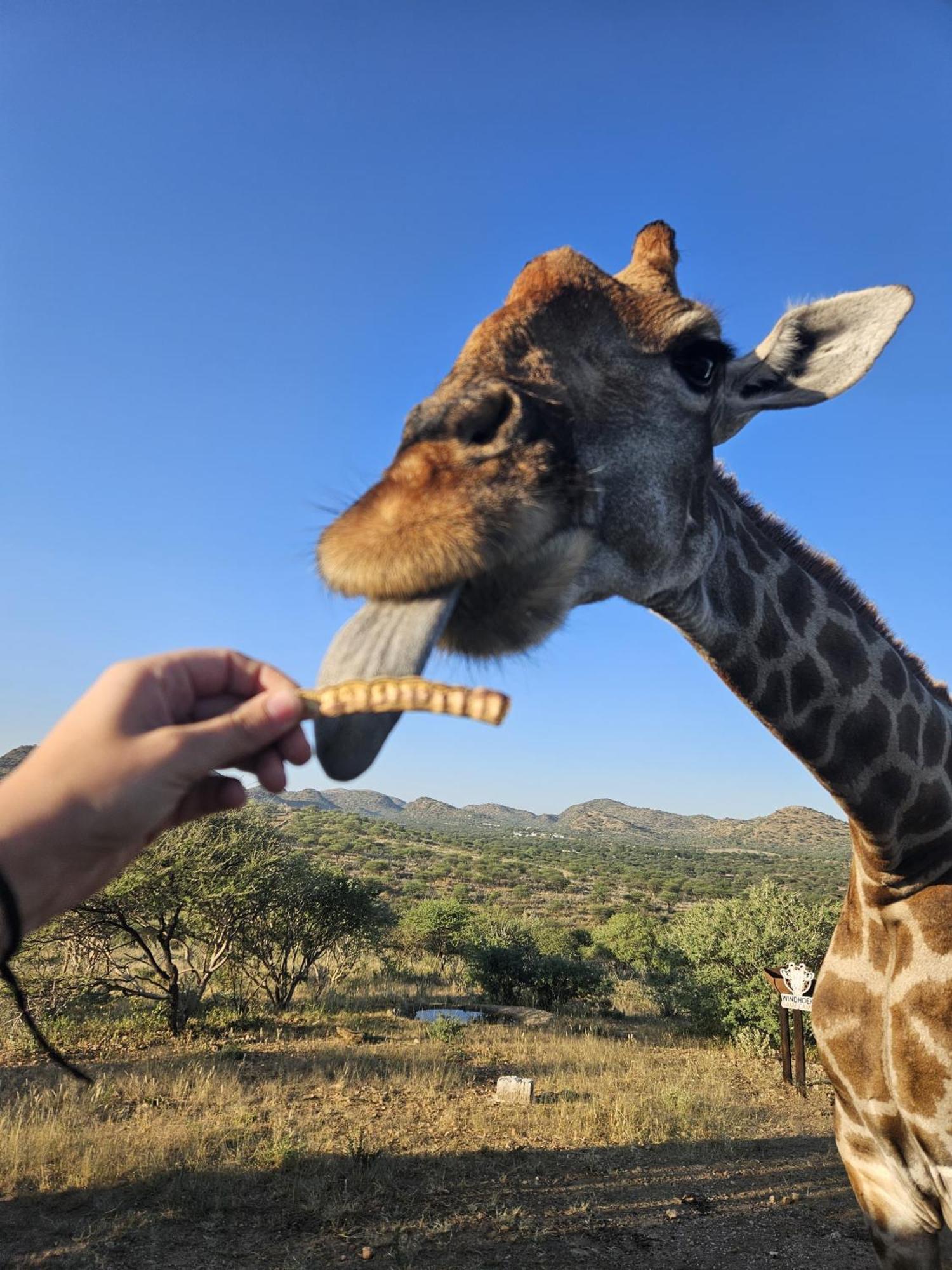Windhoek Game Camp Lafrenz Township ภายนอก รูปภาพ